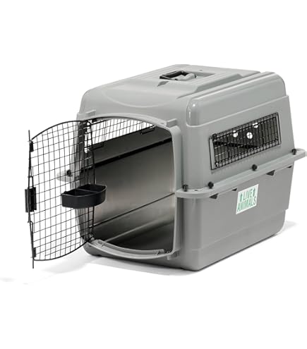 Amazon.com : EveryYay by Petco 2-Door Pet Kennel XX-Small 19.3