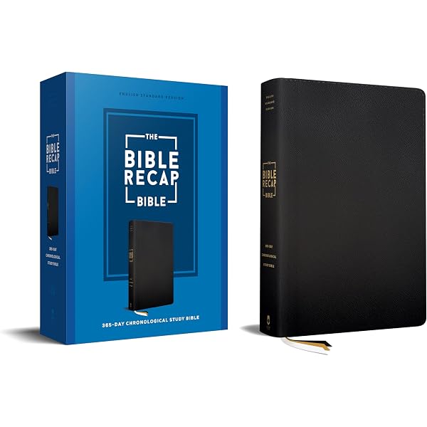 The Bible Recap 365-Day Chronological Study Bible: King James