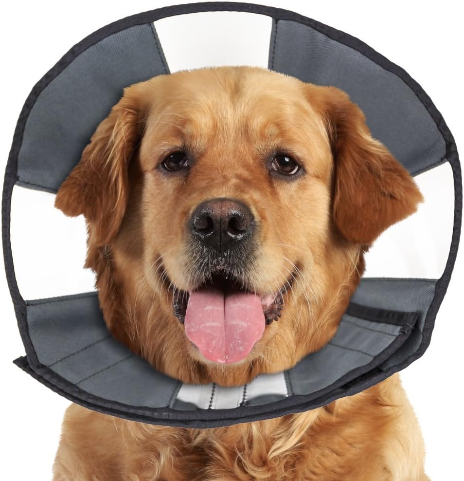 zen cone soft recovery collar