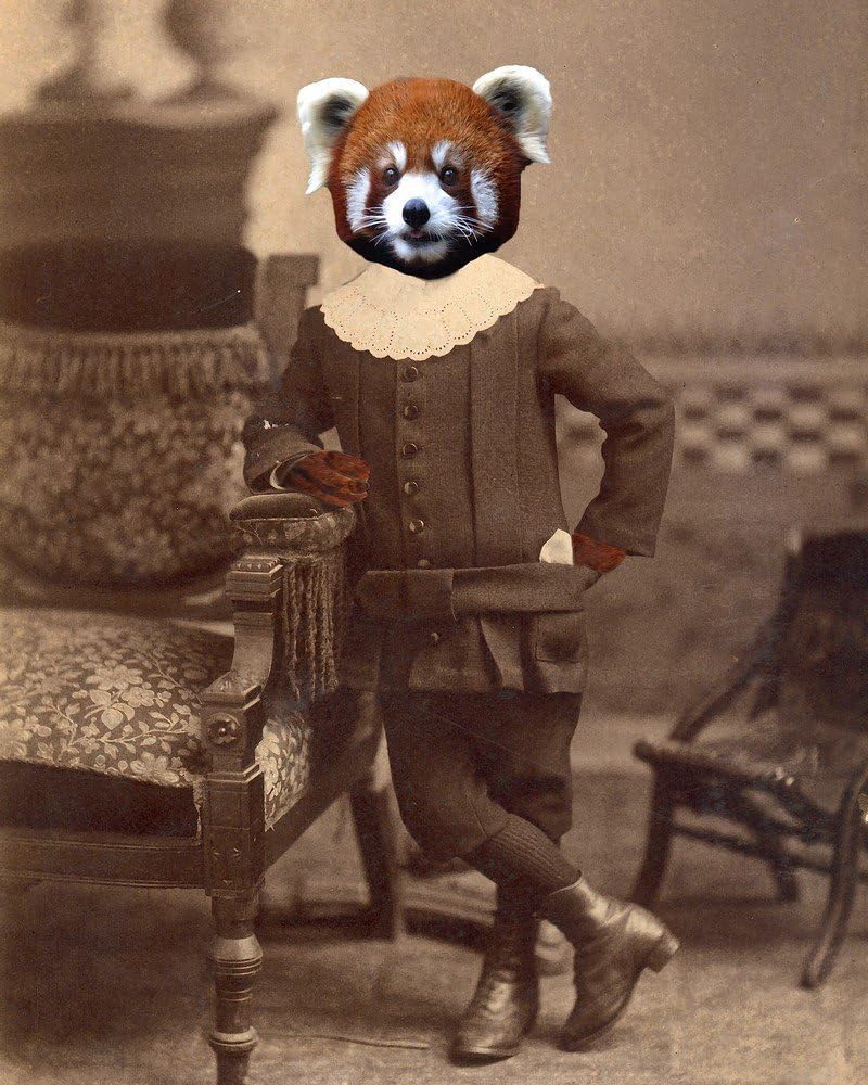Victorian RED PANDA BOY Altered anthro portrait ART print