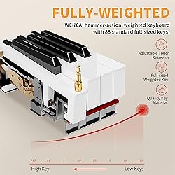 WENCAI 88 Key Fully Weighted Electric Piano
