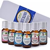 Healing Solutions Best Blends Essential Oil Set (Set of 6)