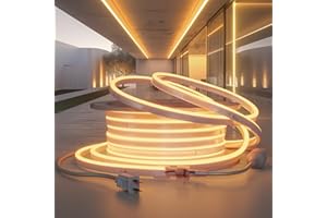 HRGXYUN 110V LED Neon Rope Light, 82ft Dimmable LED Neon Strip Light Outdoor Waterproof,ETL Listed Warm White Commercial LED Rope Lights for Supermarket,Building, Celebration