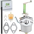 partszen 60338 66619 69381 Carburetor Kit for Harbor Freight Chicago Electric Storm CAT 700 800 900 Watts 2HP 63CC Generator 2 Stroke with Tune-up Parts Fuel Filter Line