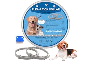 ITTOIR Flea Collar for Dogs, 2 Pack Flea and Tick Collar for Dogs, Dog Flea Collar Offers Long Flea and Tick Prevention, Waterproof Dog Flea and Tick Collar, Adjustable, One Size Fits All Dogs Puppies, Blue