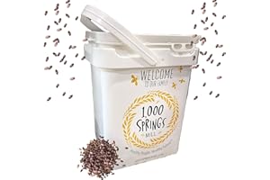 1000 Springs Mill - Organic Purple Barley 25lb Bulk Bucket | Used for Cereals, Salads, Whole Wheat Bread, Fresh Barley Flour, Sprouting Seeds, and more | Bulk Dried Grain