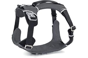 Pawprints ON My Soul Canadian Dog Harness, Stylish & Premium, no Choke no Pull Feature, Breathable Mesh Fabric, Adjustable, R