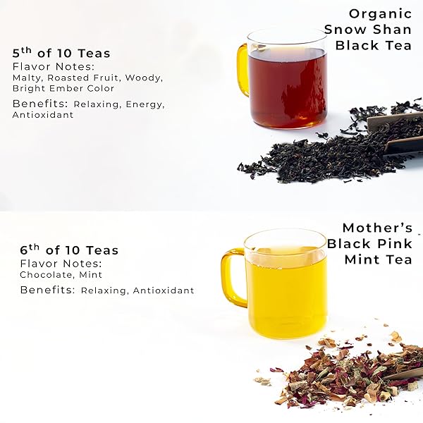 SACHS TEA 1773 FOUNDER’S ASSORTMENT – ORGANIC ASSORTED LOOSE LEAF TEA – 30 SACHETS – GREEN, BLACK, RED, WHITE, YELLOW, HERBAL TEAS – FRESH FLORAL, ROASTED FRUIT, MALTY, WOODY, HERBACEOUS NOTES – SUGAR-FREE, NON-GMO, KETO-FRIENDLY