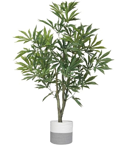 Amazon.com: DecoBudz Artificial Cannabis Plant 2-Pack – Premium