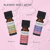 Tisserand Organic Patchouli Essential Oil 9 ml - Pure Aromatherapy Oil view 5