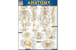 Anatomy QuickStudy Laminated Reference Guide (QuickStudy Academic)