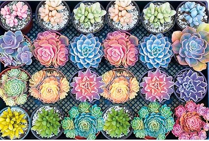 rompecabezas de plantas para niños