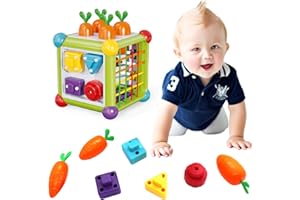 WISHTIME Activity Cube Toys Baby Sorter Toy Colorful Cube, Montessori Toys for Baby, Toddler Development Learning Toys, 1 2 3 Years Old Babies Gift Toys