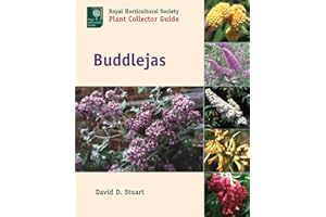 Buddlejas (Royal Horticultural Society Plant Collector Guide)