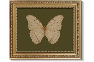 ARPEOTCY Vintage Gold Framed Wall Art, Classical White Butterfly Paintings, 8x10 inch Small Moody Green Canvas Prints with An