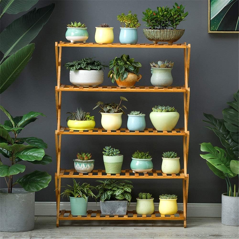 10 Mejores Arbustos Con Flores Jardineras 2020