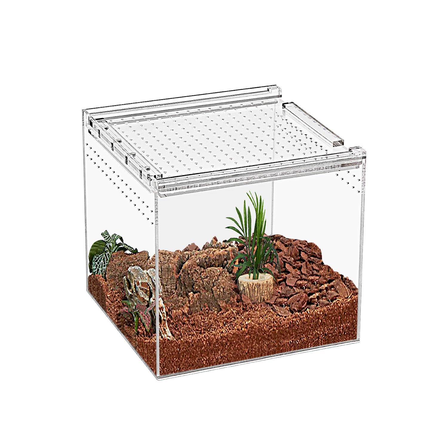 KAKOOTI Reptile Terrarium,7" x 7"x 7" Reptile Breeding Box, Magnetic Acrylic Enclosure，for Tarantula，Hermit Crab，Jumping Spider，Iguana，Leopard Gecko，Bearded Dragon, Insect, Mantis, Scorpions.