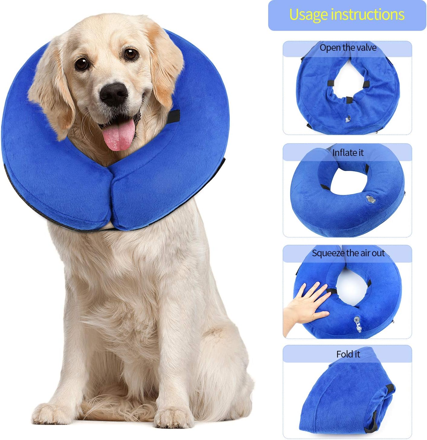 inflated dog cone