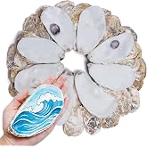 5"-6" 30PCS Extra Large Oyster Shells, Natural Flat Oyster Shells for Crafts, Decoupage, Beach Wedding Decor &amp; Christmas Ornaments, Bulk Seashells