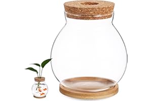 POPETPOP Desktop Fish Bowl : Clear Hydroponic Fish Tank with Lid and Bamboo Stand Plant Terrarium for Home Office Decoration,