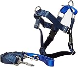 2 Hounds Design Freedom No Pull Velvet Lined Dog