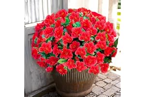 AUMVEYI 6 Pcs Artificial Flowers Outdoor, UV Resistant Fake Silk Outside Plants Flowers for Spring Summer Fall Winter Christmas, Realistic Red Faux Florals for Planter Front Porch Patio Decoration