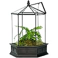 H Potter Glass Terrarium Succulent Planter Wardian Case Plant Container Six Sided WAR151