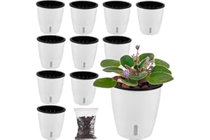 PLANTERHOMA 10 Pack-5 Inch White Self Watering Plant Pots for Indoor Plants with Water Indicator and Black Wick Pots, Small African Violet Pots, Self-Watering Planters for Devil's Ivy, Orchid Pots for Home