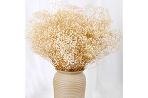 JTODER Dried Babys Breath Flowers Bouquet-17 Inch 2500+ Ivory White Dry Flowers, Natural Gypsophila Branches for Wedding, Table Vase Decor, DIY Wreath Floral, Home Office Party Garden Decoration (3oz)