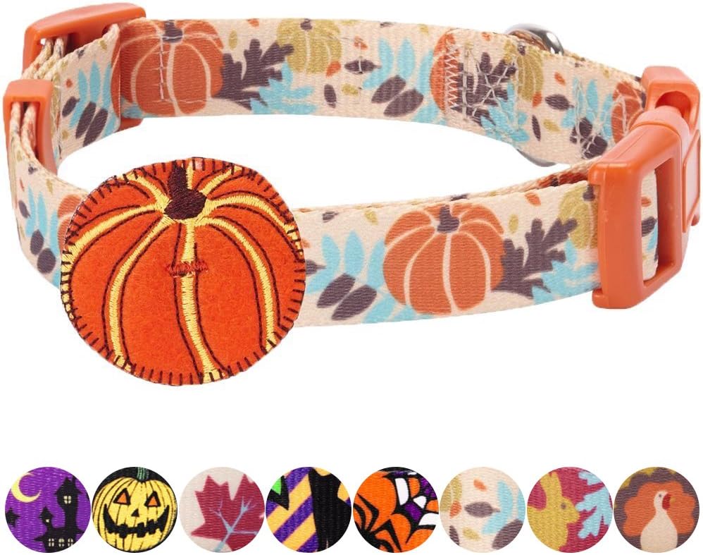Blueberry Pet 8 Patterns Thanksgiving Fall Harvest Festival Pumpkin Designer Adjustable Dog Collar with Decoration, Large, Neck 18"-26" : Pet Supplies