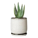 D'vine Dev 4 Inch Ceramic Beaded Stoneware Planter Pot - Flower Pot with Drainage Holes and Saucers for Indoor Succulent Plants or Flowers, Smoked White, 27-C-Z-1