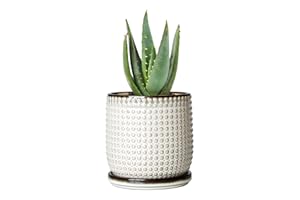 D'vine Dev 4 Inch Ceramic Beaded Stoneware Planter Pot - Flower Pot with Drainage Holes and Saucers for Indoor Succulent Plants or Flowers, Smoked White, 27-C-Z-1