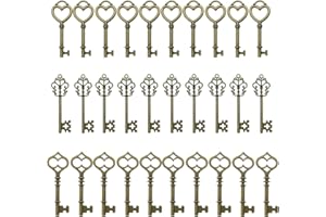 Salome Idea 30PCS Assorted Antique Skeleton Keys, Vintage Steampunk Keys, Juliet Collection