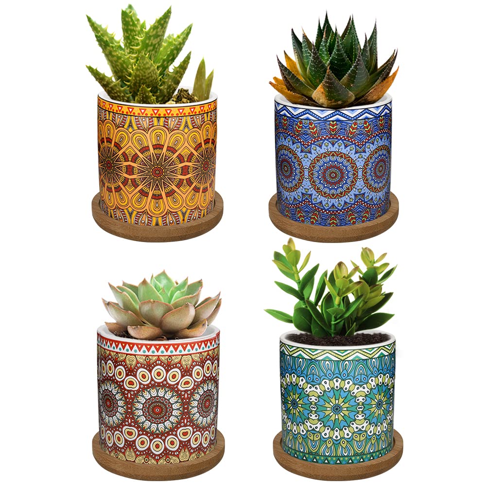 Lewondr 4 Pack Succulent Plant Pots, 2.8 Inch Ceramic Mini Flower Pots Planter with Bamboo Tray for Small plants Flowers Cactus, Home decorations Décor - Mandala, Colorful