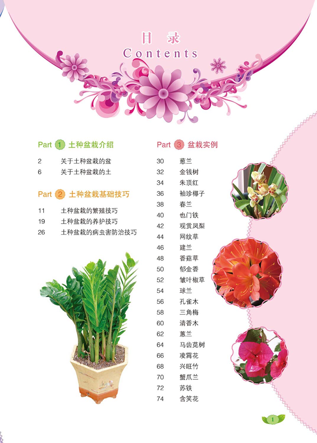 观赏性土种盆栽 华姨 Amazon Com Books