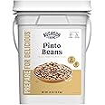 Augason Farms Pinto Beans 4-Gallon Pail, Emergency Food Supply, Everyday Meals, 253 Servings
