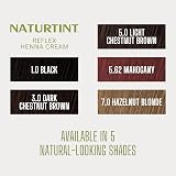 Naturtint Reflex 1.0 Black Semi-Permanent Hair Colour 90ml Gentle Grey Blend view 6