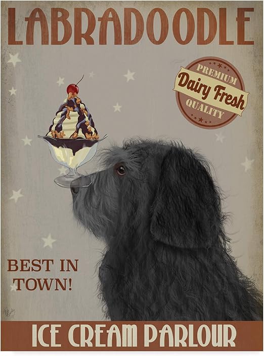 labradoodle newfoundland