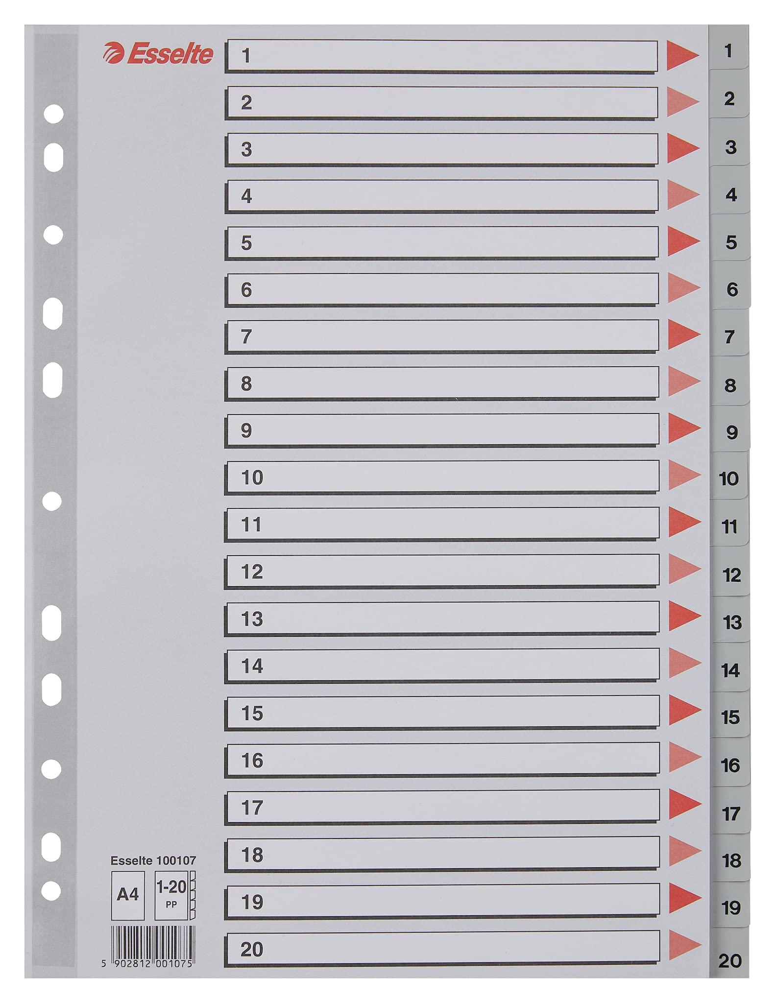 Esselte Address Book with Buttons 1-20, Size A4, Size Extra Large, Grey, Dividers in Robust Polypropylene with Index Page, 100107