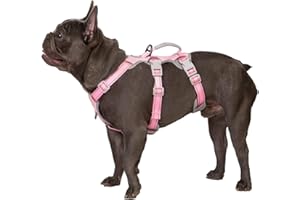 Huntboo No Escape Dog Harness, Escape Proof Harness, Fully Reflective Harness with Padded Handle, Breathable,Durable, Adjustable Vest for Small Dogs Walking, Training, and Running Gear（Pink,S