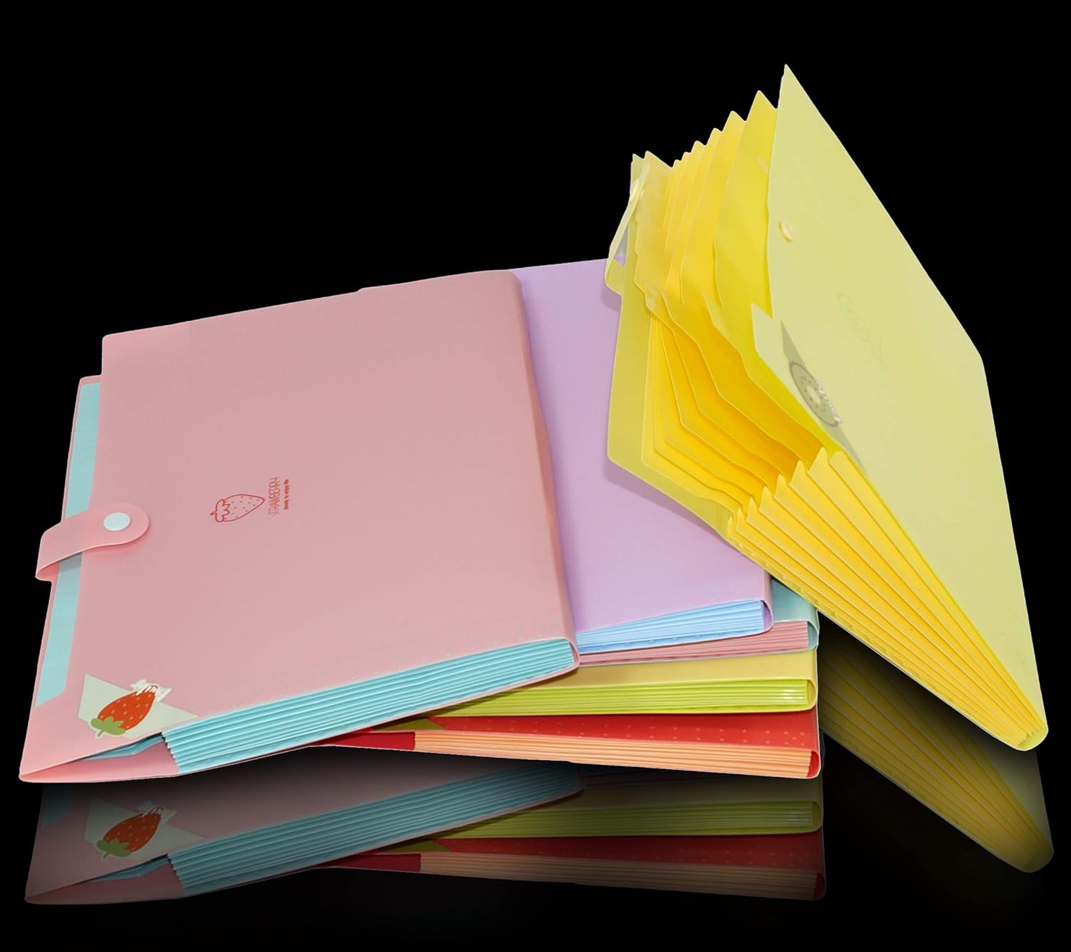 NISUN A4 Size Expandable Documents File Folder Organizer 8 Pocket