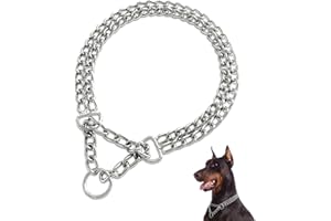 Mystercome Dog Chain Collar Metal Martingale Anti Chew Training Collars Chew Proof, Chrome Plated, Double Link for Small Medium Dogs (for Pet's Neck 16-19'')