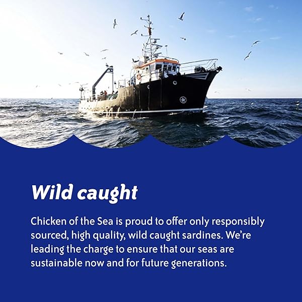 CHICKEN OF THE SEA WILD CAUGHT SARDINES IN OLIVE OIL, 3.75 OZ CANS, 18-COUNT – HIGH PROTEIN NUTRITIONAL POWERHOUSE CANNED SARDINES – PERFECT IN ANY DISH OR AS READY TO EAT MEALS