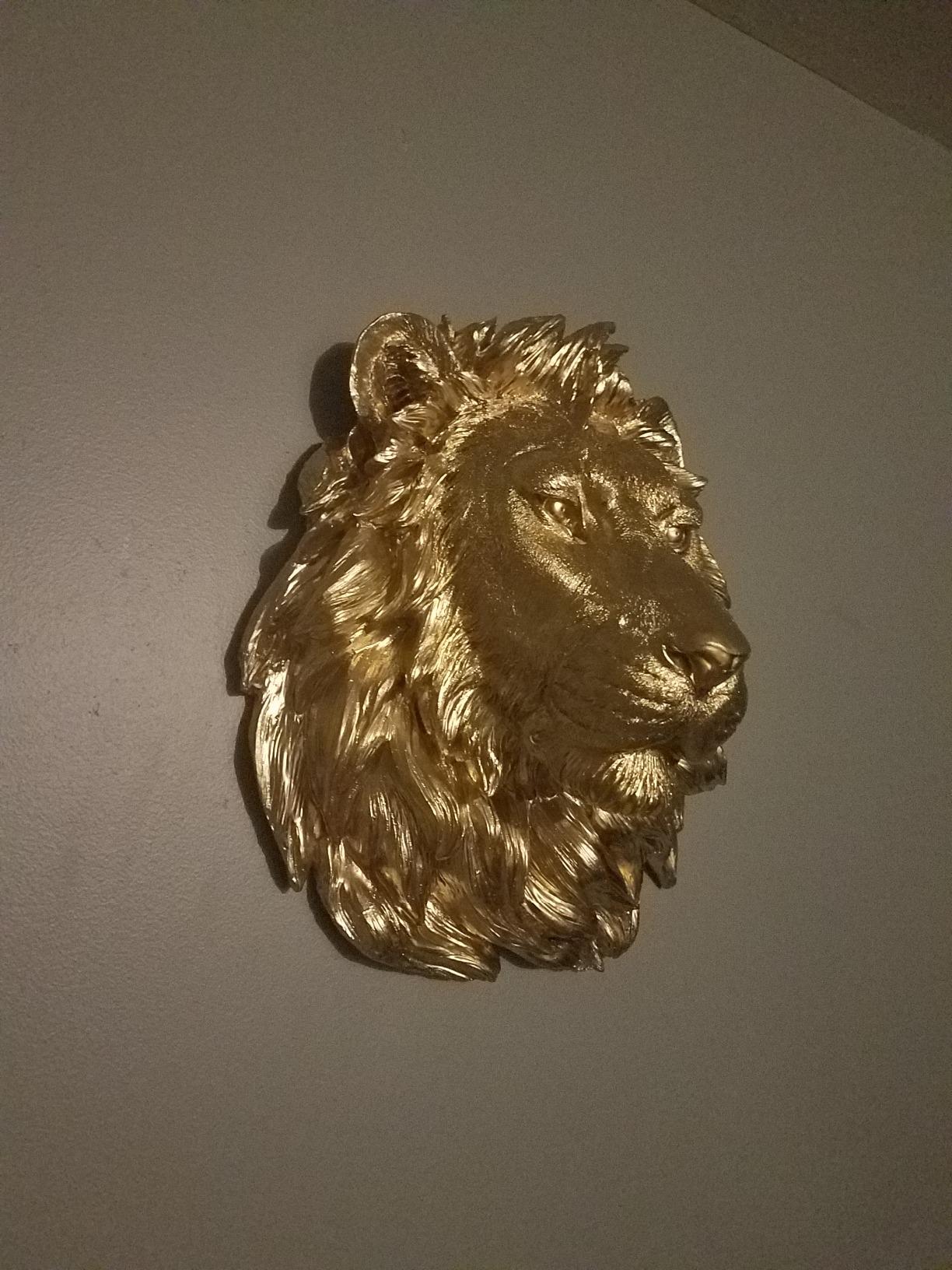 User review photo