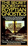 The Secret Books of the Egyptian Gnostics: An Introduction to the Gnostic Coptic Manuscripts Discove by