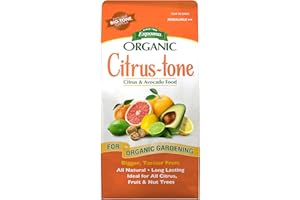 4LB Citrus Tone (Pack of 12)