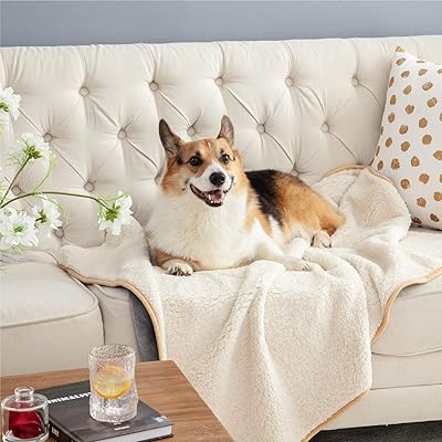 Buy Bedsure Waterproof Dog Blanket For Small Dogs Cats Sherpa Fleece Pet Blanket For Bed Chair Couch Sofa Soft Plush Reversible Throw Furniture Protector Machine Washable Online In Indonesia B08cx74328
