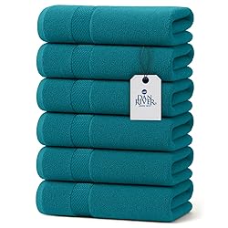 DAN RIVER 6-Pack Premium Hand Towels