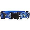 LupinePet Originals 3/4" Dapper Dog 13-22" Adjustable Collar for Medium and Larger Dogs