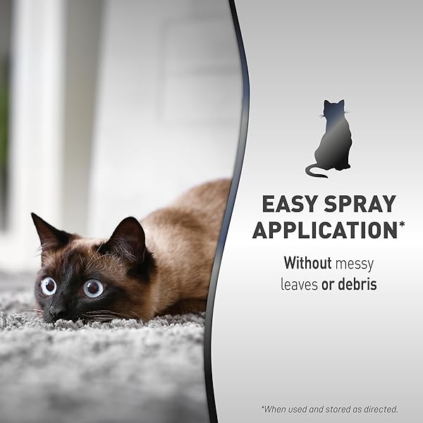 NATURE’S MIRACLE ADVANCED CATNIP TRAINING SPRAY WITH REAL CATNIP OIL ATTRACTS CATS AND ENCOURAGES POSITIVE BEHAVIOR, 8 OUNCES